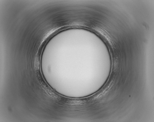 X0000115440925200912020942