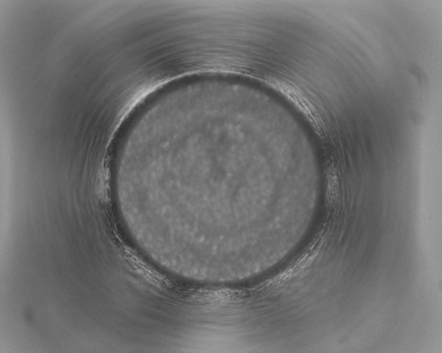 X0000115440926200912020942