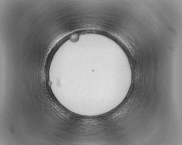 X0000115440927200912020942