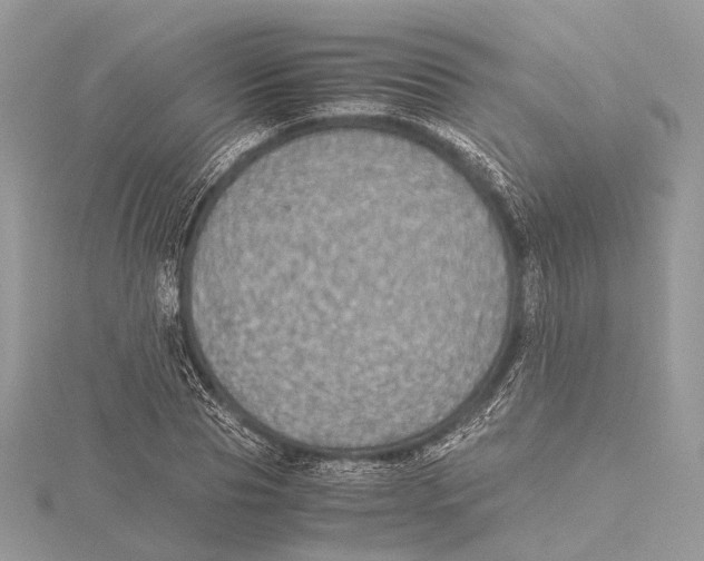 X0000115440929200912020942