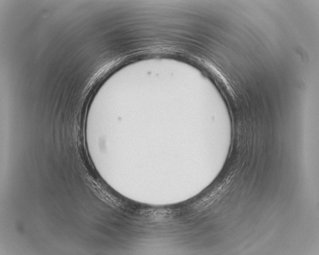 X0000115440930200912020942