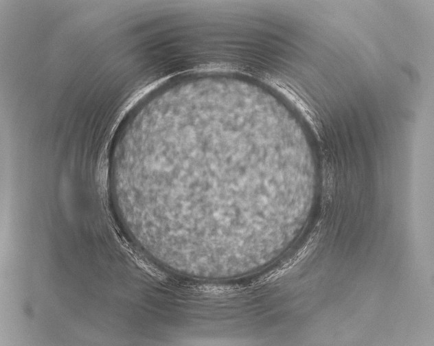 X0000115440933200912020942