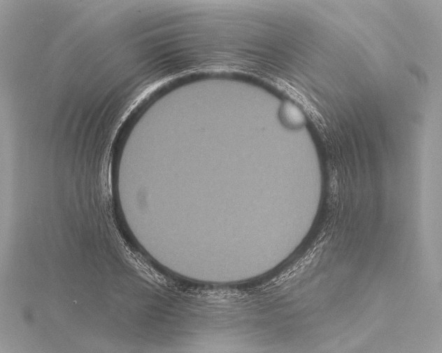 X0000115440934200912020942