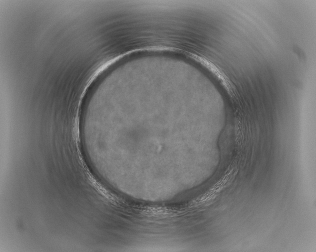 X0000115440935200912020942