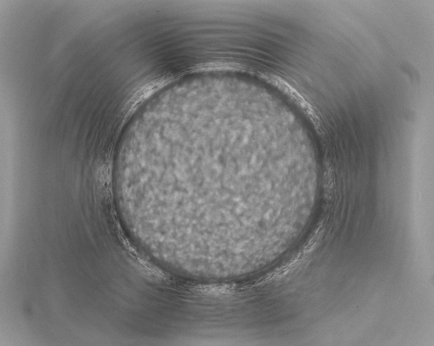 X0000115440937200912020942