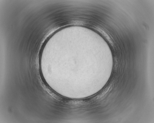 X0000115440939200912020942