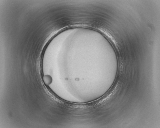 X0000115440941200912020942