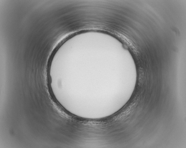 X0000115440942200912020942