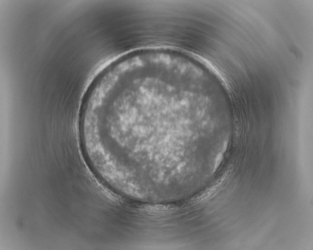 X0000115440943200912020942