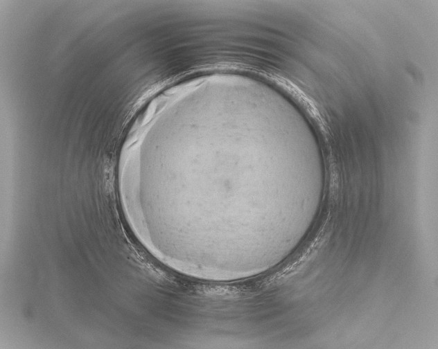 X0000115440945200912020942