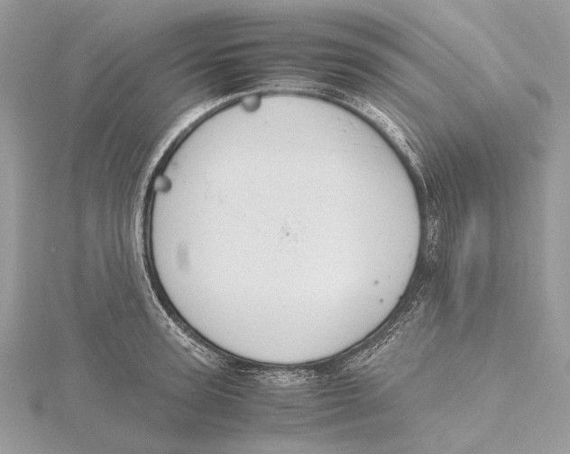 X0000115440947200912020942