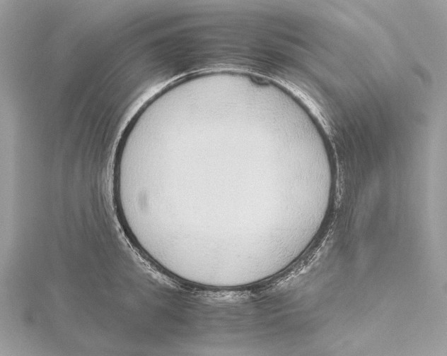 X0000115440949200912020942