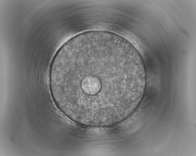 X0000115440950200912020942