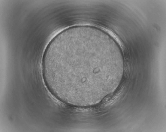 X0000115440951200912020942