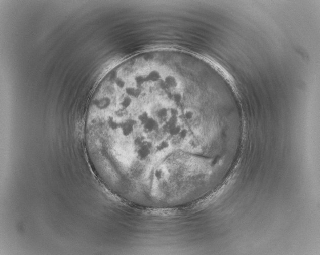 X0000115440953200912020942