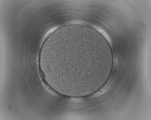 X0000115440954200912020942