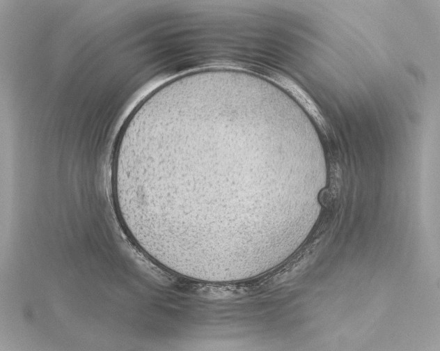 X0000115440955200912020942