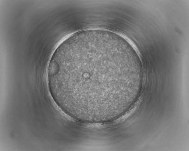 X0000115440957200912020942