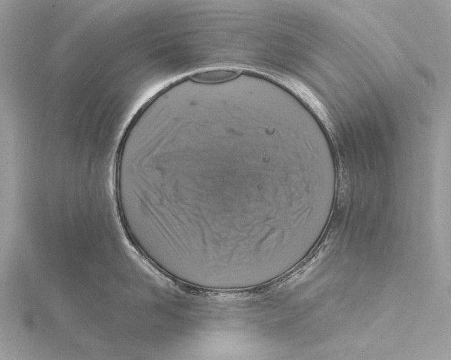 X0000115440958200912020942