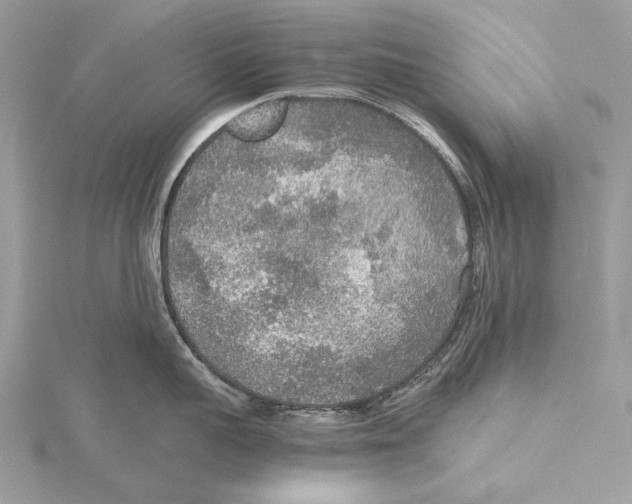 X0000115440959200912020942