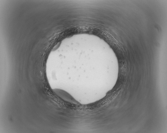 X0000115440961200912020941