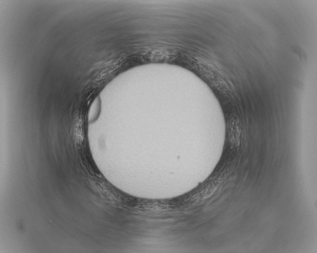 X0000115440962200912020941