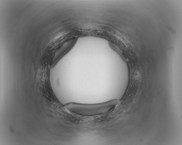 X0000115440965200912020941