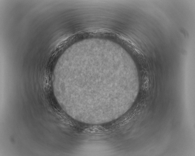 X0000115440966200912020941