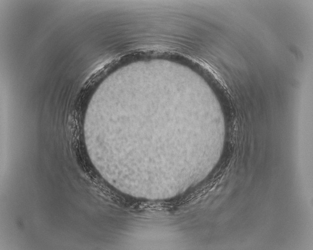 X0000115440967200912020941