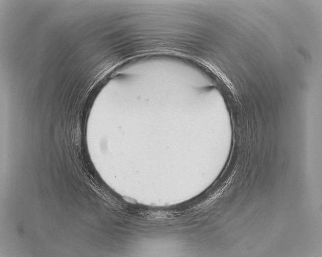 X0000115440969200912020941