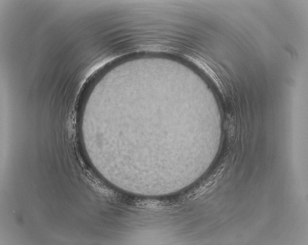 X0000115440971200912020941