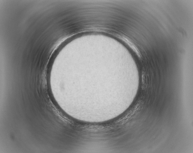 X0000115440972200912020941