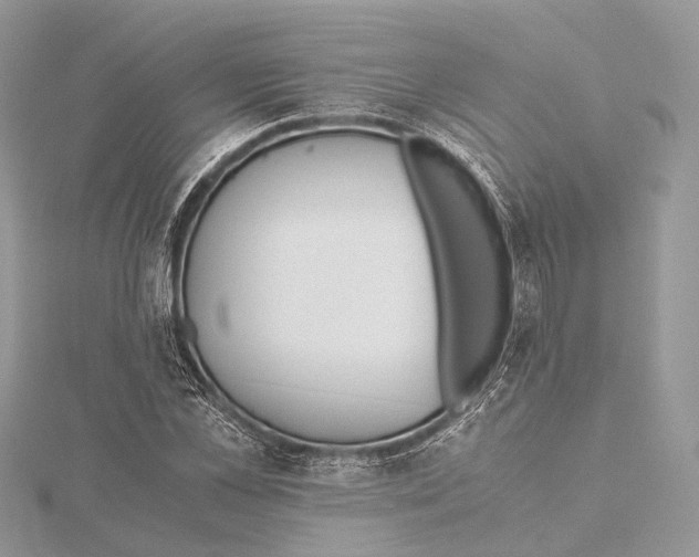 X0000115440973200912020941