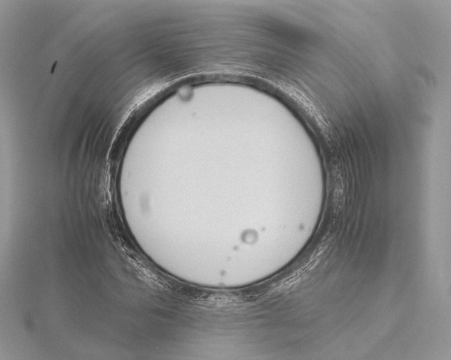 X0000115440974200912020941