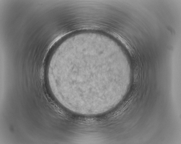 X0000115440975200912020941