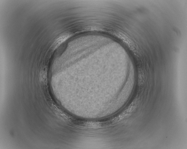 X0000115440977200912020941