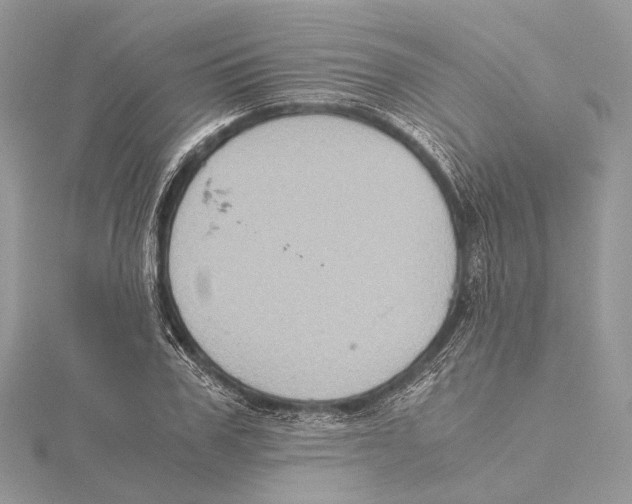 X0000115440979200912020941