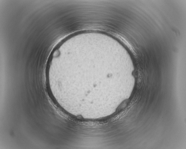 X0000115440980200912020941