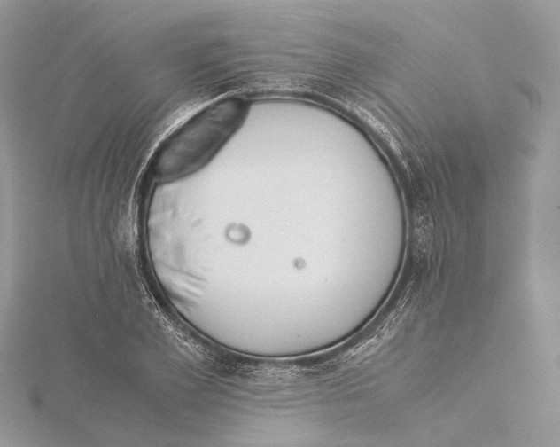 X0000115440981200912020941