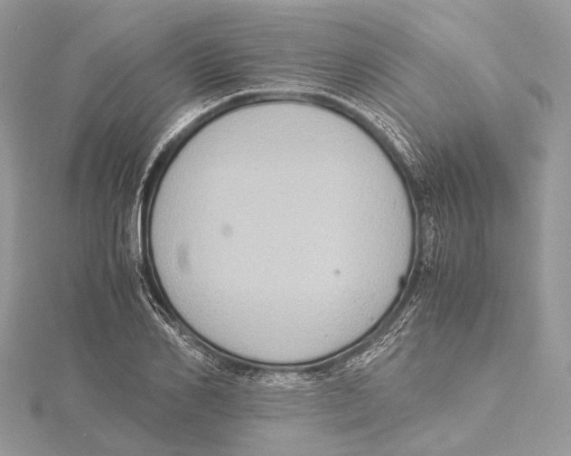 X0000115440982200912020941