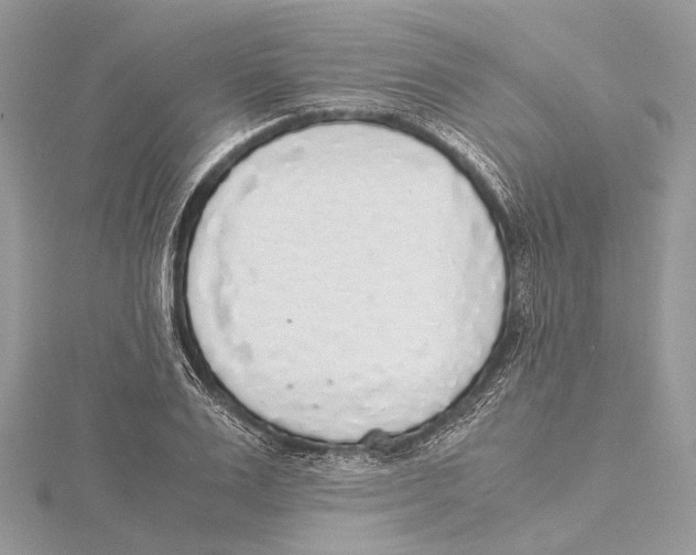 X0000115440983200912020941