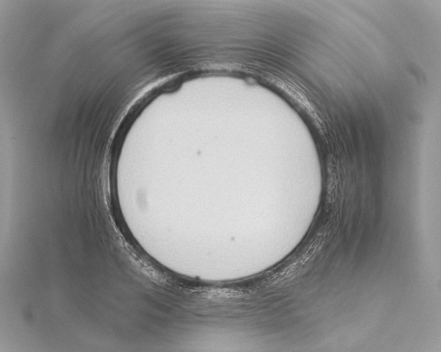 X0000115440984200912020941