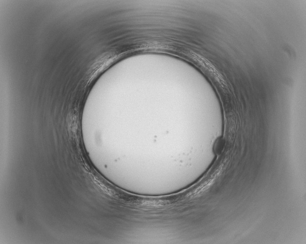 X0000115440985200912020941