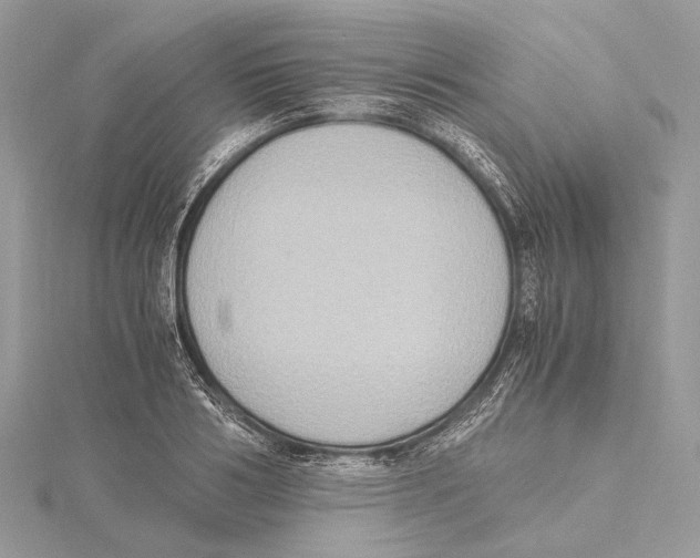 X0000115440986200912020941