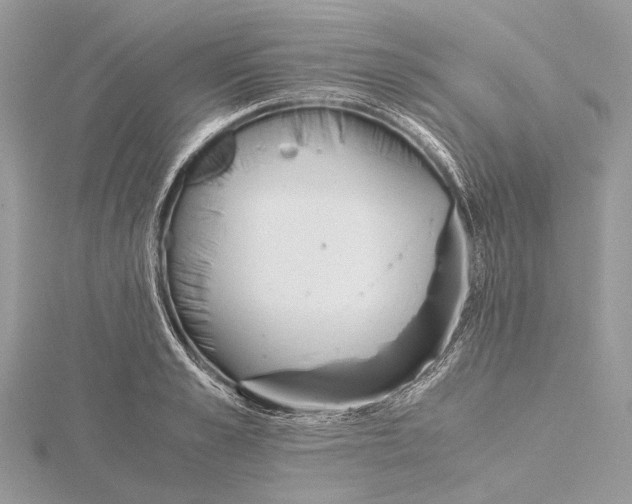 X0000115440989200912020941