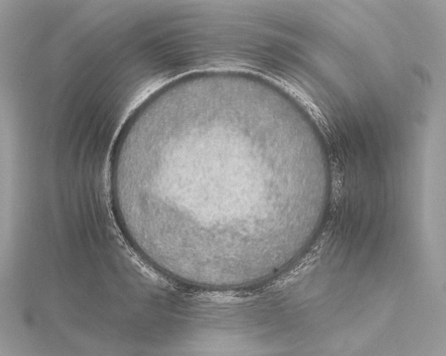 X0000115440990200912020941