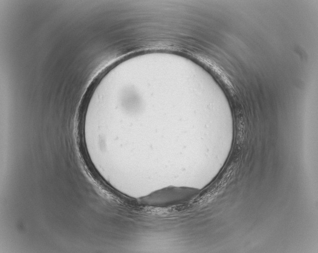 X0000115440991200912020941