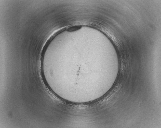 X0000115440992200912020941