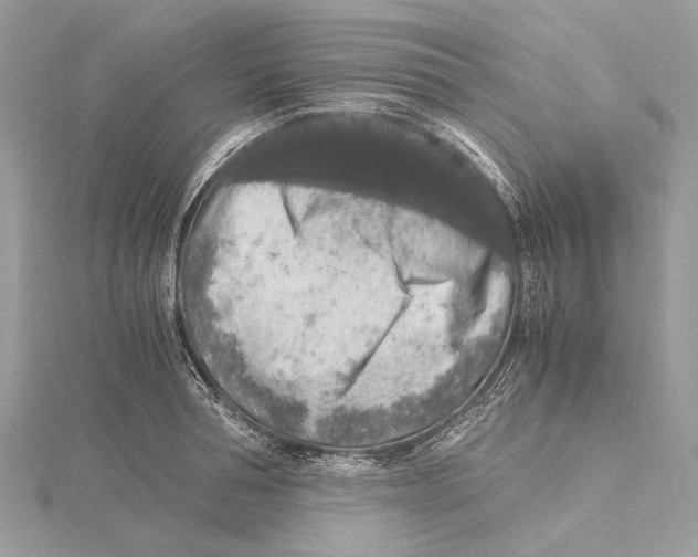 X0000115440994200912020941