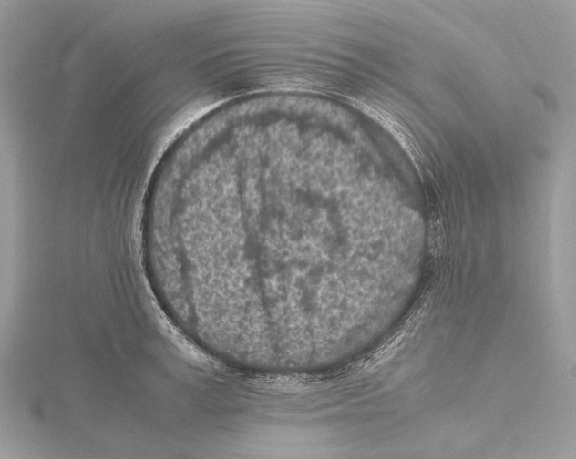 X0000115440995200912020941